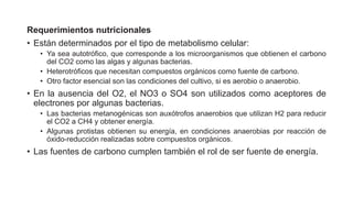Requerimientos nutricionales
• Están determinados por el tipo de metabolismo celular:
• Ya sea autotrófico, que corresponde a los microorganismos que obtienen el carbono
del CO2 como las algas y algunas bacterias.
• Heterotróficos que necesitan compuestos orgánicos como fuente de carbono.
• Otro factor esencial son las condiciones del cultivo, si es aerobio o anaerobio.
• En la ausencia del O2, el NO3 o SO4 son utilizados como aceptores de
electrones por algunas bacterias.
• Las bacterias metanogénicas son auxótrofos anaerobios que utilizan H2 para reducir
el CO2 a CH4 y obtener energía.
• Algunas protistas obtienen su energía, en condiciones anaerobias por reacción de
óxido-reducción realizadas sobre compuestos orgánicos.
• Las fuentes de carbono cumplen también el rol de ser fuente de energía.
 
