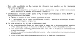 • Otro, está constituido por las fuentes de nitrógeno que pueden ser de naturaleza
inorgánica u orgánica.
• Para la síntesis de proteína se requieren en general L-aminoácidos, aunque también son necesarios
algunos aminoácidos de la serie D como D-alanina y D-aspártico.
• En el caso de macronutrientes como el P y el S son suministrados en forma de HP04 y
S04 (o aminoácidos azufrados).
• El fósforo se incorpora en ácidos nucleicos, y polímeros celulares.
• El S es asimilado para la síntesis de aminoácidos azufrados, y además se necesita para la biotina,
coenzima A, tiamina y otros componentes.
• Por otro, lado el del K y Mg son también esenciales.
• Una parte importante del primero está unida al RNA, de manera que los requerimientos de K aumentan
con los factores que influyen en el aumento del RNA de las células, como la velocidad decrecimiento.
• El ión K actúa como coenzima y probablemente actúa como catión en la estructura aniónica de varios
componentes celulares.
• El ión Mg es esencial para la estabilidad de los ribosomas y actúa como cofactor en numerosas reacciones
del metabolismo.
• Tanto el K como el Mg se incorporan a los medios en forma de sales como fosfato y sulfato.
 