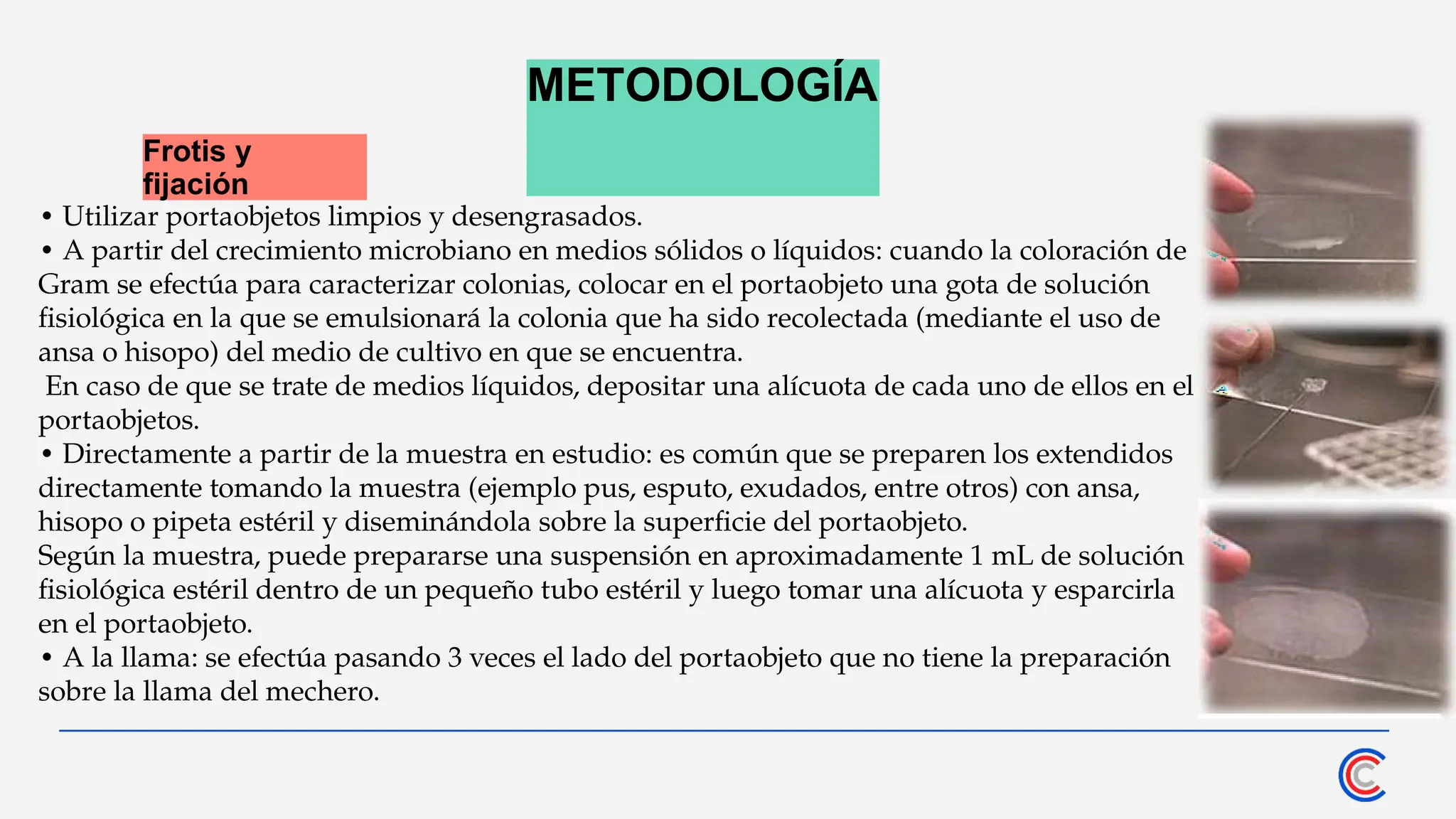 METODOLOGÍA
Frotis y
fijación
• Utilizar portaobjetos limpios y desengrasados.
• A partir del crecimiento microbiano en medios sólidos o líquidos: cuando la coloración de
Gram se efectúa para caracterizar colonias, colocar en el portaobjeto una gota de solución
fisiológica en la que se emulsionará la colonia que ha sido recolectada (mediante el uso de
ansa o hisopo) del medio de cultivo en que se encuentra.
En caso de que se trate de medios líquidos, depositar una alícuota de cada uno de ellos en el
portaobjetos.
• Directamente a partir de la muestra en estudio: es común que se preparen los extendidos
directamente tomando la muestra (ejemplo pus, esputo, exudados, entre otros) con ansa,
hisopo o pipeta estéril y diseminándola sobre la superficie del portaobjeto.
Según la muestra, puede prepararse una suspensión en aproximadamente 1 mL de solución
fisiológica estéril dentro de un pequeño tubo estéril y luego tomar una alícuota y esparcirla
en el portaobjeto.
• A la llama: se efectúa pasando 3 veces el lado del portaobjeto que no tiene la preparación
sobre la llama del mechero.
 