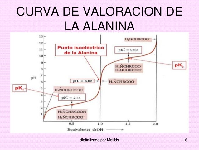 ENZIMAS: Clase 3 aminoacidos 2015-1