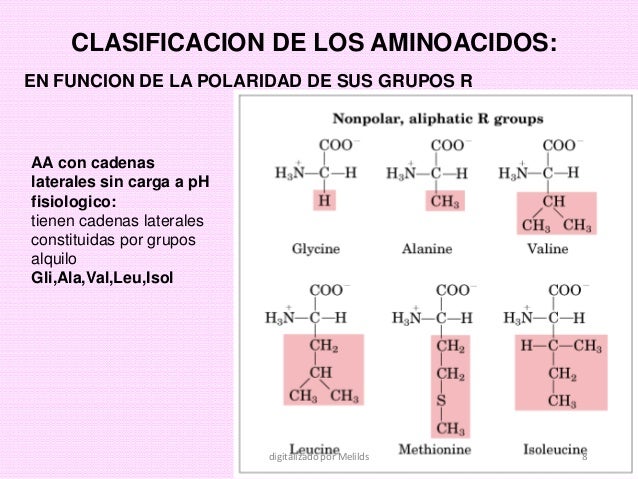 clasificacion de los aminoacidos segun sus cadenas laterales enzimas clase 3 aminoacidos 2015 1 clasificacion de los aminoacidos segun sus cadenas laterales enzimas clase 3 aminoacidos 2015 1