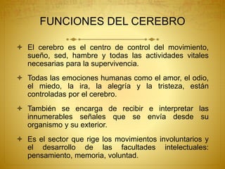 FUNCIONES DEL CEREBRO
 El cerebro es el centro de control del movimiento,
sueño, sed, hambre y todas las actividades vitales
necesarias para la supervivencia.
 Todas las emociones humanas como el amor, el odio,
el miedo, la ira, la alegría y la tristeza, están
controladas por el cerebro.
 También se encarga de recibir e interpretar las
innumerables señales que se envía desde su
organismo y su exterior.
 Es el sector que rige los movimientos involuntarios y
el desarrollo de las facultades intelectuales:
pensamiento, memoria, voluntad.
 