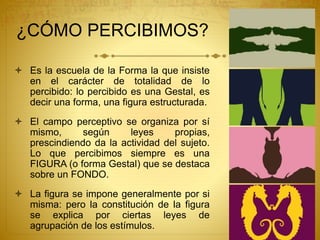 ¿CÓMO PERCIBIMOS?
 Es la escuela de la Forma la que insiste
en el carácter de totalidad de lo
percibido: lo percibido es una Gestal, es
decir una forma, una figura estructurada.
 El campo perceptivo se organiza por sí
mismo, según leyes propias,
prescindiendo da la actividad del sujeto.
Lo que percibimos siempre es una
FIGURA (o forma Gestal) que se destaca
sobre un FONDO.
 La figura se impone generalmente por si
misma: pero la constitución de la figura
se explica por ciertas leyes de
agrupación de los estímulos.
 
