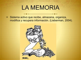 LA MEMORIA
 Sistema activo que recibe, almacena, organiza,
modifica y recupera información. (Lieberman, 2004).
 