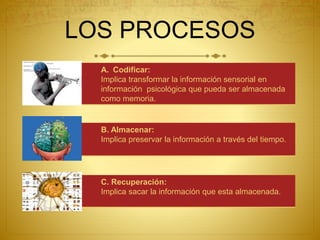 A. Codificar:
Implica transformar la información sensorial en
información psicológica que pueda ser almacenada
como memoria.
B. Almacenar:
Implica preservar la información a través del tiempo.
C. Recuperación:
Implica sacar la información que esta almacenada.
LOS PROCESOS
 