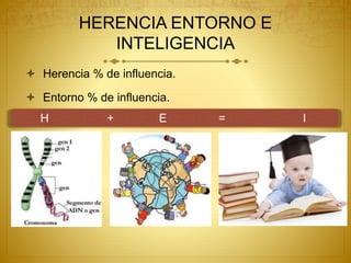 HERENCIA ENTORNO E
INTELIGENCIA
 Herencia % de influencia.
 Entorno % de influencia.
H + E = I
 