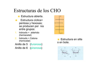 Estructuras de los CHO
    Estructura abierta.
    Estructura cíclica=
   pentosa y hexosas;
   se producen por rxs
   entre grupos:
1. hidroxilo + aldehido
   (hemiacetal)
2. hidroxilo + Cetona        Estructura en silla
   (hemicetal)
                          o en bote.
Anillo de 5 (furanosa)
Anillo de 6 (piranosa)
 