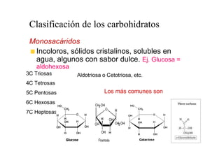 Clasificación de los carbohidratos
 Monosacáridos
  Incoloros, sólidos cristalinos, solubles en
  agua, algunos con sabor dulce. Ej. Glucosa =
    aldohexosa
3C Triosas       Aldotriosa o Cetotriosa, etc.
4C Tetrosas
5C Pentosas                  Los más comunes son
6C Hexosas
7C Heptosas
 