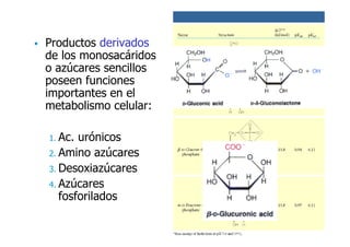 Productos derivados
de los monosacáridos
o azúcares sencillos
poseen funciones
importantes en el
metabolismo celular:

1. Ac. urónicos
2. Amino azúcares
3. Desoxiazúcares
4. Azúcares
   fosforilados
 