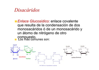 Disacáridos

 Enlace Glucosídico: enlace covalente
 que resulta de la condensación de dos
 monosacáridos ó de un monosacárido y
 un átomo de nitrógeno de otro
 compuesto.
 Los más comunes son:
 