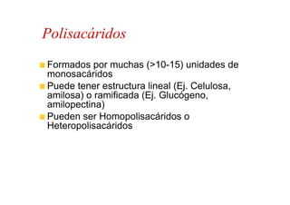 Polisacáridos
Formados por muchas (>10-15) unidades de
monosacáridos
Puede tener estructura lineal (Ej. Celulosa,
amilosa) o ramificada (Ej. Glucógeno,
amilopectina)
Pueden ser Homopolisacáridos o
Heteropolisacáridos
 