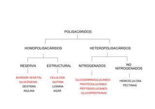 POLISACÁRIDOS



     HOMOPOLISACÁRIDOS                    HETEROPOLISACÁRIDOS




  RESERVA         ESTRUCTURAL       NITROGENADOS              NO
                                                         NITROGENADOS

ALMIDON VEGETAL    CELULOSA
                                   GLICOSAMINOGLUCANES    HEMICELULOSA
 GLUCÓGENO          QUITINA
                                     PROTEOGLUCANES         PECTINAS
   DEXTRAN          LIGNINA
                                     PEPTIDOGLUCANES
    INULINA         AGAR
                                      GLUCOPROTEINAS
 