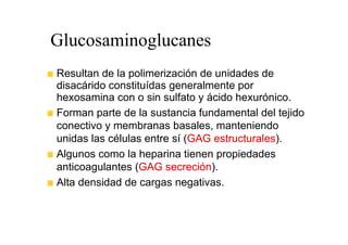 Glucosaminoglucanes
Resultan de la polimerización de unidades de
disacárido constituídas generalmente por
hexosamina con o sin sulfato y ácido hexurónico.
Forman parte de la sustancia fundamental del tejido
conectivo y membranas basales, manteniendo
unidas las células entre sí (GAG estructurales).
Algunos como la heparina tienen propiedades
anticoagulantes (GAG secreción).
Alta densidad de cargas negativas.
 