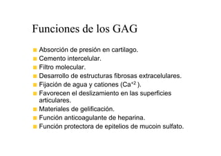 Funciones de los GAG
 Absorción de presión en cartilago.
 Cemento intercelular.
 Filtro molecular.
 Desarrollo de estructuras fibrosas extracelulares.
 Fijación de agua y cationes (Ca+2 ).
 Favorecen el deslizamiento en las superficies
 articulares.
 Materiales de gelificación.
 Función anticoagulante de heparina.
 Función protectora de epitelios de mucoin sulfato.
 