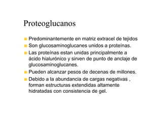 Proteoglucanos
 Predominantemente en matriz extracel de tejidos
 Son glucosaminoglucanes unidos a proteínas.
 Las proteínas estan unidas principalmente a
 ácido hialurónico y sirven de punto de anclaje de
 glucosaminoglucanes.
 Pueden alcanzar pesos de decenas de millones.
 Debido a la abundancia de cargas negativas ,
 forman estructuras extendidas altamente
 hidratadas con consistencia de gel.
 