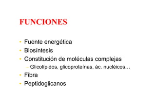 FUNCIONES

• Fuente energética
• Biosíntesis
• Constitución de moléculas complejas
  – Glicolípidos, glicoproteínas, ác. nucléicos…
• Fibra
• Peptidoglicanos
 