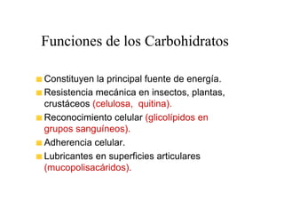 Funciones de los Carbohidratos

Constituyen la principal fuente de energía.
Resistencia mecánica en insectos, plantas,
crustáceos (celulosa, quitina).
Reconocimiento celular (glicolípidos en
grupos sanguíneos).
Adherencia celular.
Lubricantes en superficies articulares
(mucopolisacáridos).
 