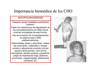 Importancia biomédica de los CHO
       MUCOPOLISACARIDOSIS

 Trastorno de tipo hereditario autosómico
                  recesivo.
Fallan los mecanismos de degradación de
  los mucopolisacáridos por fallas de las
   enzimas encargadas de esta función.
 Hay acumulación de mucopolisacáridos
          en sistema óseo y SNC
             preferencialmente.
Deformidades óseas y articulares, retraso
   del crecimiento, madurativo y mental,
 sordera y alteraciones oculares (córnea
    opaca) cráneo grande, nariz ancha,
macroglosia, dientes escasos y pequeños,
   orejas de implantación baja, abdomen
 prominente, hepatomegalia, alteraciones
               cardíacas, etc.
 