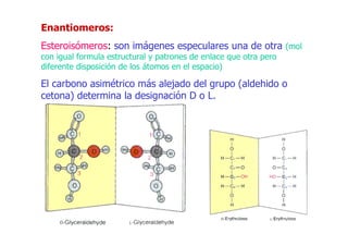 Enantiomeros:
Esteroisómeros: son imágenes especulares una de otra (mol
con igual formula estructural y patrones de enlace que otra pero
diferente disposición de los átomos en el espacio)

El carbono asimétrico más alejado del grupo (aldehido o
cetona) determina la designación D o L.
 