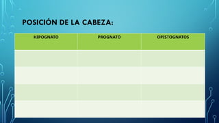 ENTOMOLOGIA AGRICOLA-PARTES DEUN INSECTO: CABEZ.pptx