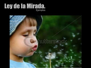 Ley de la Mirada.Ejemplos
