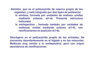 Almidón, que es el polisacárido de reserva propio de los
  vegetales, y está integrado por dos tipos de polímeros:
   la amilosa, formada por unidades de maltosa ,unidas
      mediante enlaces a(1-4). Presenta estructura
      helicoidal.
   la amilopectina , formada también por unidades de
      maltosas unidas mediante enlaces a(1-4), con
      ramificaciones en posición a(1-6).

Glucógeno es el polisacárido propio de los animales. Se
encuentra abundantemente en el hígado y en los músculos.
Molécula muy similar a la amilopectina; pero con mayor
abundancia de ramificaciones
 