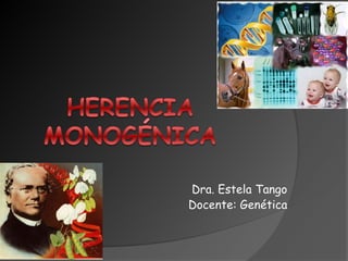 Dra. Estela Tango
Docente: Genética
 