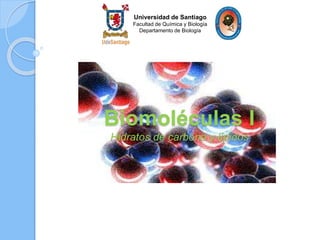 Biomoléculas I
Hidratos de carbono y lípidos
Universidad de Santiago
Facultad de Química y Biología
Departamento de Biología
 