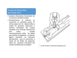 SEMIOLOGIA DE LA COLUMNA | PPTX
