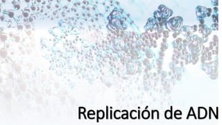 Replicación de ADN
 
