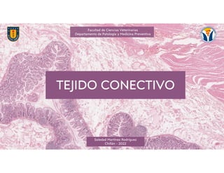 Facultad de Ciencias Veterinarias
Departamento de Patología y Medicina Preventiva
Soledad Martínez Rodríguez
Chillán - 2022
TEJIDO CONECTIVO
 