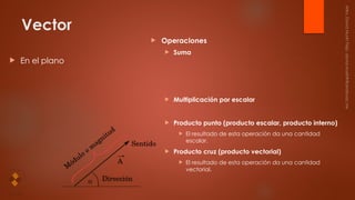 Vectores de universidad y bachillerato y mas | PPTX