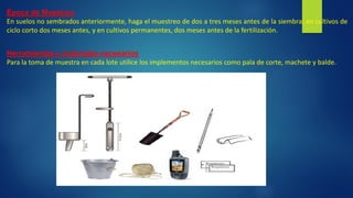 Época de Muestreo
En suelos no sembrados anteriormente, haga el muestreo de dos a tres meses antes de la siembra; en cultivos de
ciclo corto dos meses antes, y en cultivos permanentes, dos meses antes de la fertilización.
Herramientas y materiales necesarios
Para la toma de muestra en cada lote utilice los implementos necesarios como pala de corte, machete y balde.
 