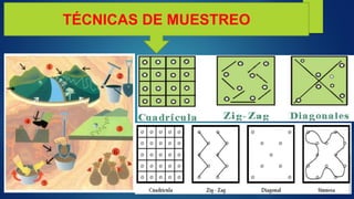TÉCNICAS DE MUESTREO
 