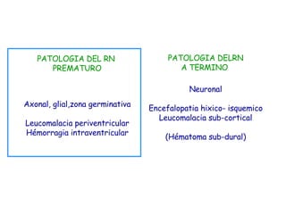 Axonal, glial,zona germinativa Leucomalacia periventricular Hémorragia intraventricular Neuronal Encefalopatia hixico- isquemico Leucomalacia sub-cortical (Hématoma sub-dural) PATOLOGIA DELRN A TERMINO  PATOLOGIA DEL RN  PREMATURO 