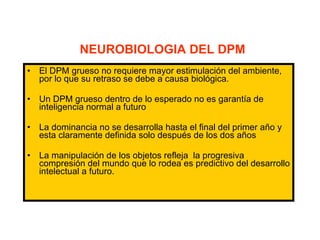 NEUROBIOLOGIA DEL DPM El DPM grueso no requiere mayor estimulación del ambiente, por lo que su retraso se debe a causa biológica. Un DPM grueso dentro de lo esperado no es garantía de inteligencia normal a futuro La dominancia no se desarrolla hasta el final del primer año y esta claramente definida solo después de los dos años La manipulación de los objetos refleja  la progresiva compresión del mundo que lo rodea es predictivo del desarrollo intelectual a futuro. 