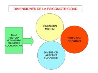 DIMENSIONES DE LA PSICOMOTRICIDAD TONO POSTURA MOVIMIENTO EQUILIBRIO COORDINACION DIMENSION MOTRIZ DIMENSION  AFECTIVA EMOCIONAL DIMENSION COGNITIVA 