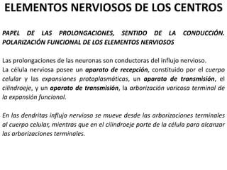 ELEMENTOS NERVIOSOS DE LOS CENTROS
PAPEL DE LAS PROLONGACIONES, SENTIDO DE LA CONDUCCIÓN.
POLARIZACIÓN FUNCIONAL DE LOS ELEMENTOS NERVIOSOS
Las prolongaciones de las neuronas son conductoras del influjo nervioso.
La célula nerviosa posee un aparato de recepción, constituido por el cuerpo
celular y las expansiones protoplasmáticas, un aparato de transmisión, el
cilindroeje, y un aparato de transmisión, la arborización varicosa terminal de
la expansión funcional.
En las dendritas influjo nervioso se mueve desde las arborizaciones terminales
al cuerpo celular, mientras que en el cilindroeje parte de la célula para alcanzar
las arborizaciones terminales.
 