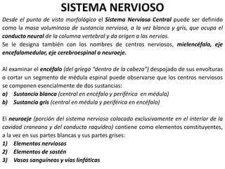 SISTEMA NERVIOSO
Desde el punto de vista morfológico el Sistema Nervioso Central puede ser definido
como la masa voluminosa de sustancia nerviosa, a la vez blanca y gris, que ocupa el
conducto neural de la columna vertebral y da origen a los nervios.
Se le designa también con los nombres de centros nerviosos, mielencéfalo, eje
encefalomedular, eje cerebroespinal o neuroeje.
Al examinar el encéfalo (del griego “dentro de la cabeza”) despojado de sus envolturas
o cortar un segmento de médula espinal puede observarse que los centros nerviosos
se componen esencialmente de dos sustancias:
a) Sustancia blanca (central en encéfalo y periférica en médula)
b) Sustancia gris (central en médula y periférica en encéfalo)
El neuroeje (porción del sistema nervioso colocado exclusivamente en el interior de la
cavidad craneana y del conducto raquídeo) contiene como elementos constituyentes,
a la vez en sus partes blancas y sus partes grises:
1) Elementos nerviosos
2) Elementos de sostén
3) Vasos sanguíneos y vías linfáticas
 