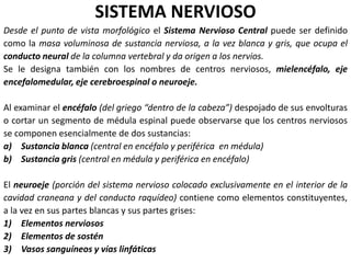 SISTEMA NERVIOSO
Desde el punto de vista morfológico el Sistema Nervioso Central puede ser definido
como la masa voluminosa de sustancia nerviosa, a la vez blanca y gris, que ocupa el
conducto neural de la columna vertebral y da origen a los nervios.
Se le designa también con los nombres de centros nerviosos, mielencéfalo, eje
encefalomedular, eje cerebroespinal o neuroeje.
Al examinar el encéfalo (del griego “dentro de la cabeza”) despojado de sus envolturas
o cortar un segmento de médula espinal puede observarse que los centros nerviosos
se componen esencialmente de dos sustancias:
a) Sustancia blanca (central en encéfalo y periférica en médula)
b) Sustancia gris (central en médula y periférica en encéfalo)
El neuroeje (porción del sistema nervioso colocado exclusivamente en el interior de la
cavidad craneana y del conducto raquídeo) contiene como elementos constituyentes,
a la vez en sus partes blancas y sus partes grises:
1) Elementos nerviosos
2) Elementos de sostén
3) Vasos sanguíneos y vías linfáticas
 
