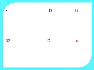 • D U
32 D u