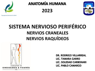 2023
SISTEMA NERVIOSO PERIFÉRICO
NERVIOS CRANEALES
NERVIOS RAQUÍDEOS
 