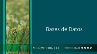 Bases de Datos
 
