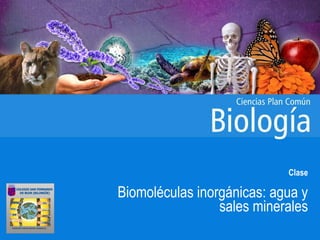 Clase
Biomoléculas inorgánicas: agua y
sales minerales
 