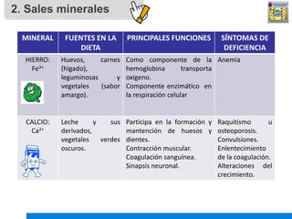 2. Sales minerales
MINERAL FUENTES EN LA
DIETA
PRINCIPALES FUNCIONES SÍNTOMAS DE
DEFICIENCIA
HIERRO:
Fe3+
Huevos, carnes
(...