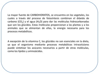La mayor fuente de CARBOHIDRATOS, se encuentra en los vegetales, los
cuales a través del proceso de fotosíntesis combinan el dióxido de
carbono (CO2) y el agua (H2O) para dar las moléculas hidrocarbonadas
que son los glúcidos. Estas moléculas proporcionan a las plantas y a los
animales que se alimentan de ellas, la energía necesaria para los
procesos metabólicos.

A excepción de la vitamina C, los glúcidos no son esenciales en la dieta,
ya que el organismo mediante procesos metabólicos intracelulares
puede sintetizar los azúcares necesarios a partir de otras moléculas,
como los lípidos y aminoácidos.

 