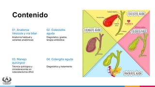 Contenido
01. Anatomia
Vesícula y vía biliar
Anatomía habitual y
variantes anatómicas
02. Colecistitis
aguda
Diagnóstico, grados,
terapia antibiótica
03. Manejo
quirúrgico
Técnica quirúrgica y
consideraciones en
colecistectomía difícil
04. Colangitis aguda
Diagnóstico y tratamiento
 