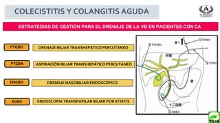 ESTRATEGIAS DE GESTIÓN PARA EL DRENAJE DE LA VB EN PACIENTES CON CA
DRENAJE BILIAR TRANSHEPÁTICO PERCUTÁNEO
PTGBD
PTGBA ASPIRACIÓN BILIAR TRANSHEPÁTICO PERCUTÁNEO
ENGBD DRENAJE NASOBILIAR ENDOSCÓPICO
EGBS ENDOSCOPIA TRANSPAPILAR BILIAR PORSTENTS
COLECISTITIS Y COLANGITIS AGUDA
 
