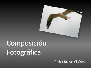 ComposiciónFotográfica Yerko Bravo Chávez 
