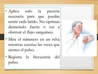• Aplica solo la presión
necesaria para que puedas
sentir cada latido. No oprimas
demasiado fuerte o vas a
obstruir el flujo sanguíneo.
• Mira el minutero en un reloj
mientras cuentas las veces que
sientes el pulso.
• Registra la frecuencia del
pulso.
 